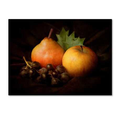 Trademark Fine Art Jerome Zakka Bajjani 'Nature Morte 3' Canvas Art, 18x24 1X02898-C1824GG